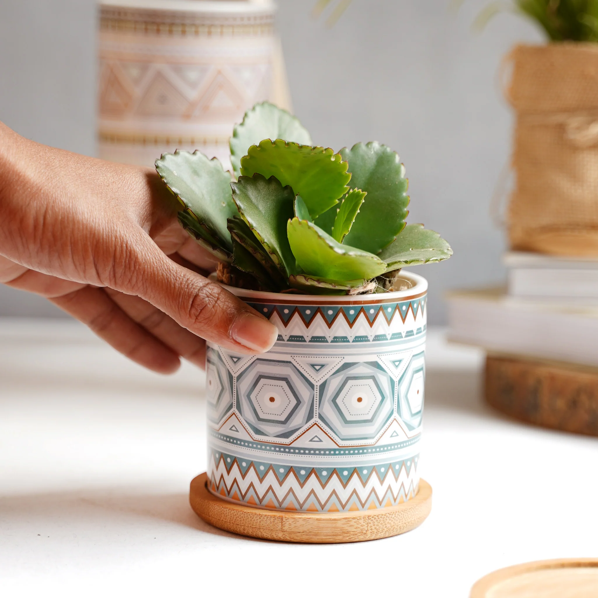 Bohemian Planter - Image 11