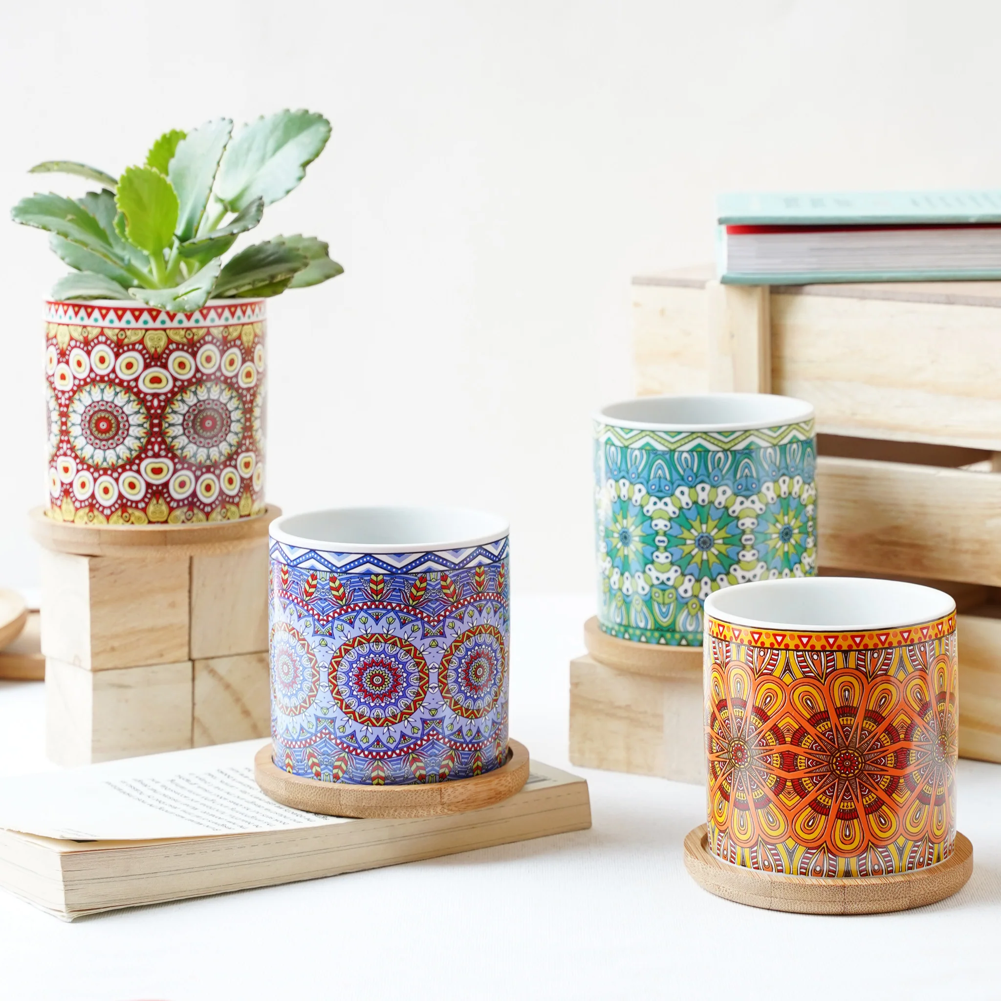House Plant Pots - Image 5