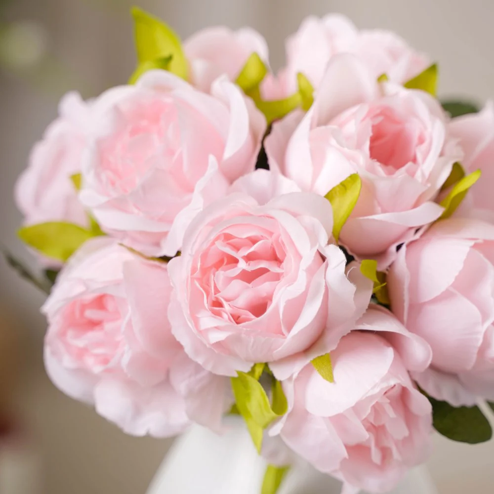 Aesthetic Roses - Image 9