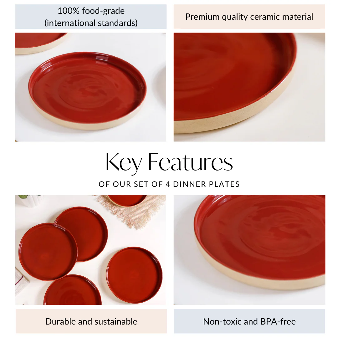 Amber Ceramic Clay Dinner Plates Set Of 4 9 Inch - Image 4