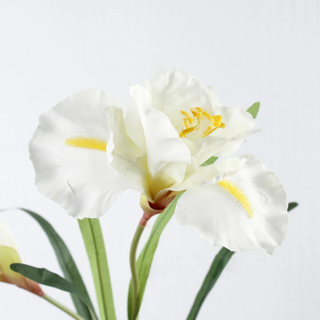 Artificial Iris Flower White Set Of 3 - Image 6