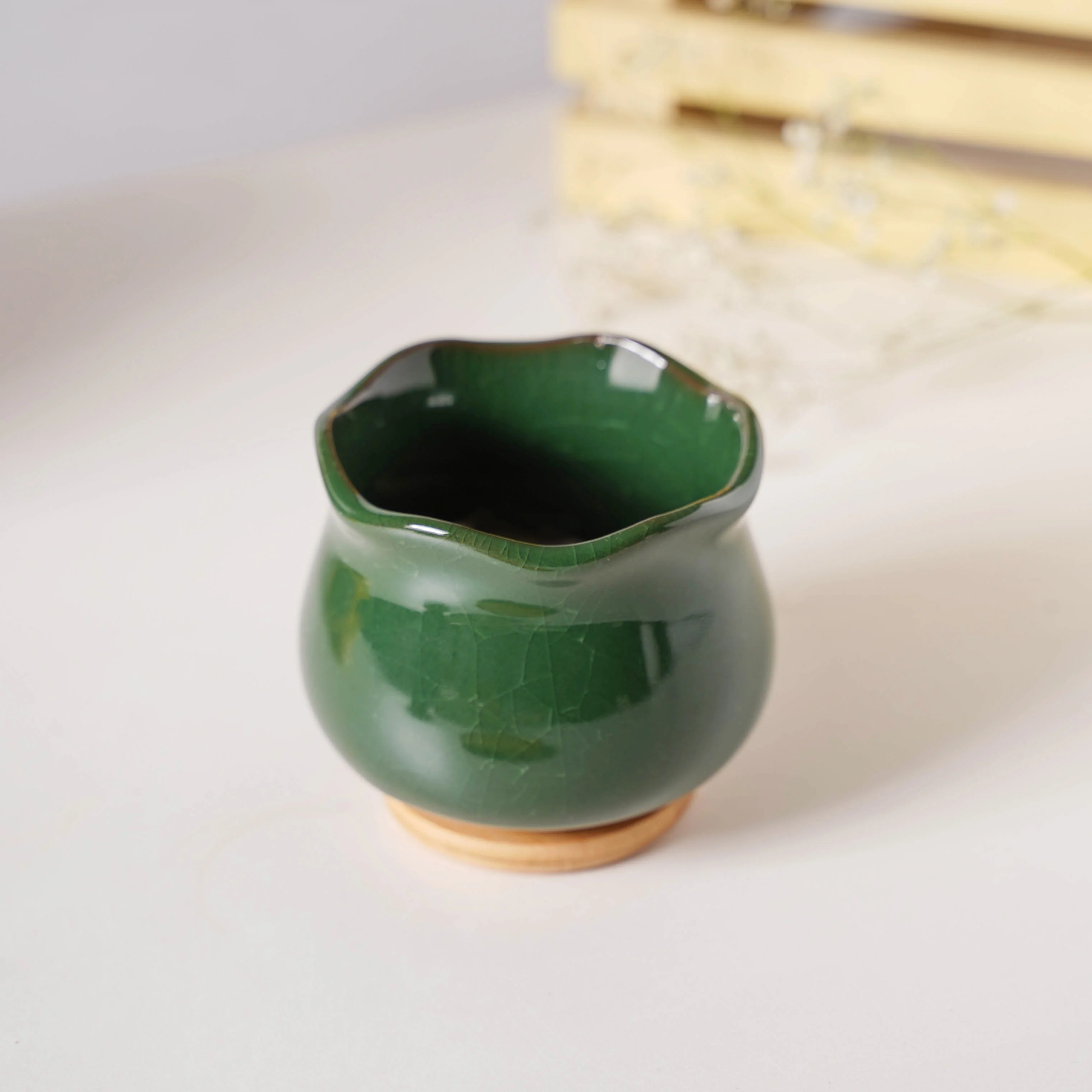 Botanica Emerald Ceramic Planter With Coaster - Image 6