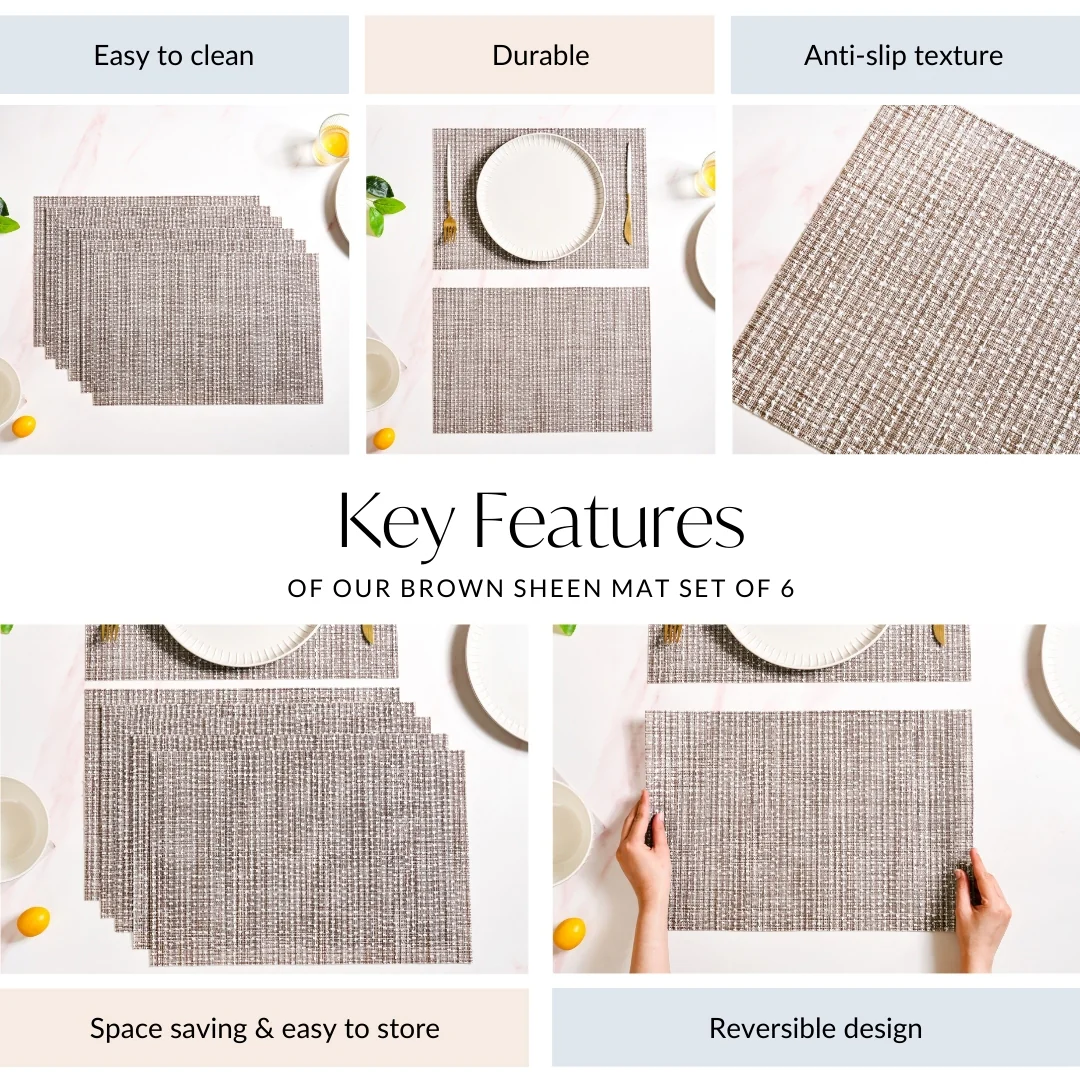 Brown Sheen Mat Set Of 6 - Image 5