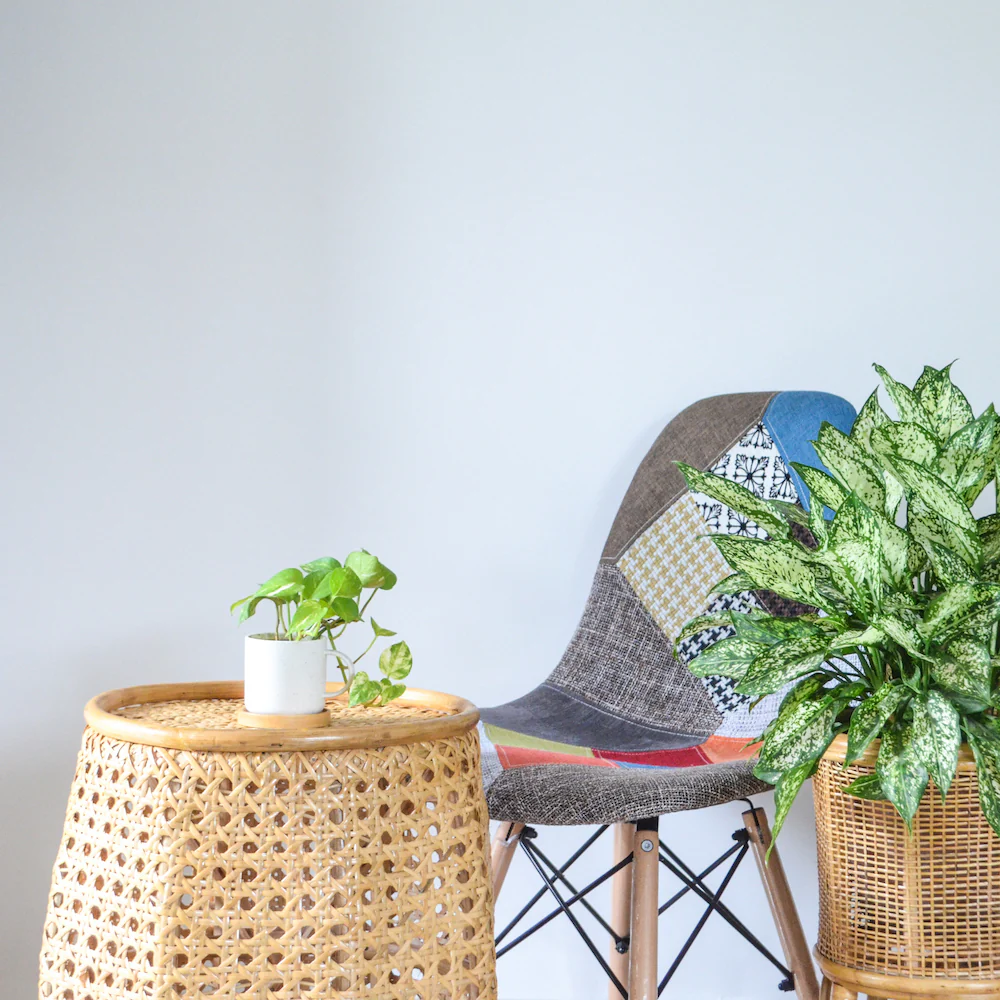 Cane Stool Table - Image 2