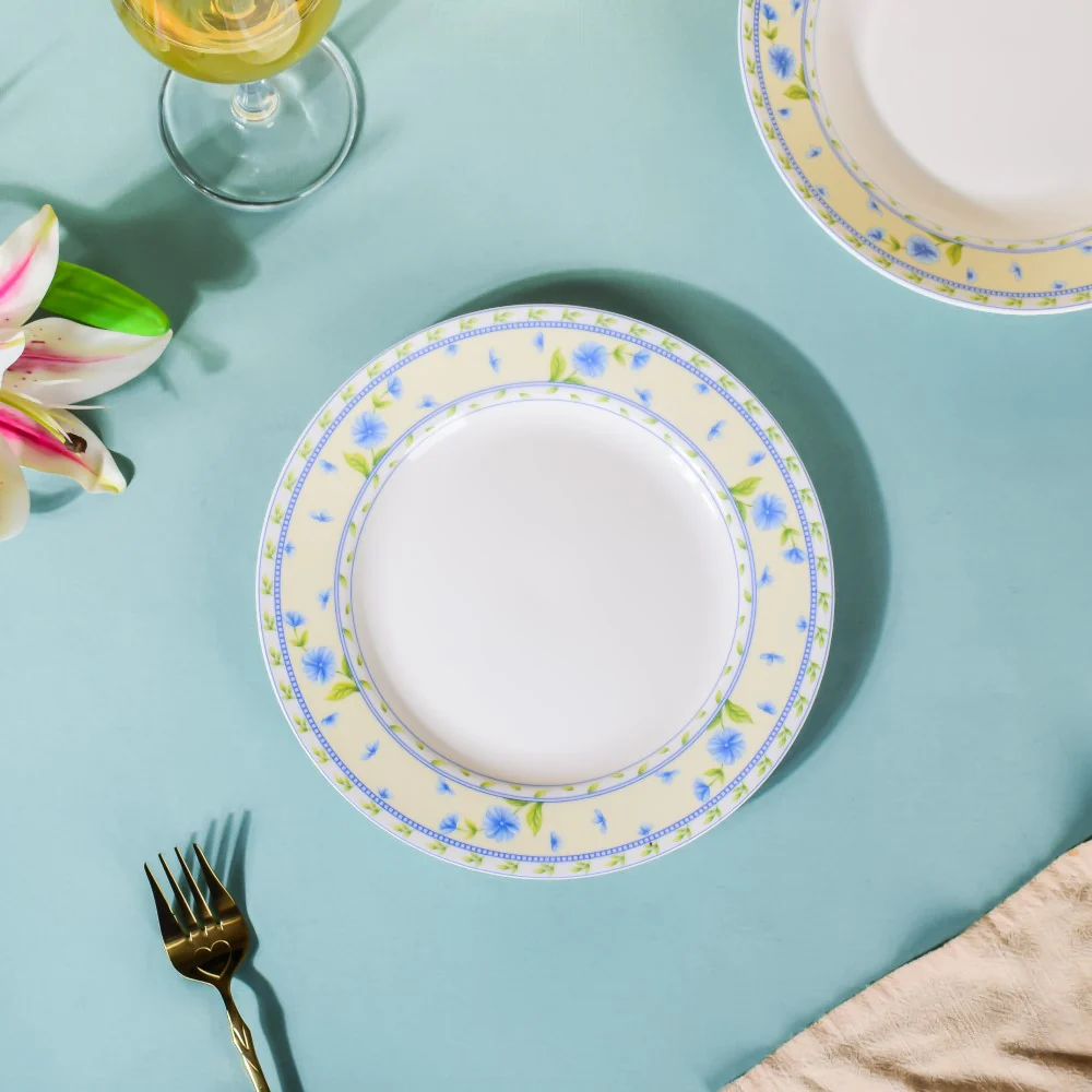 Ceramic Plates - Image 9