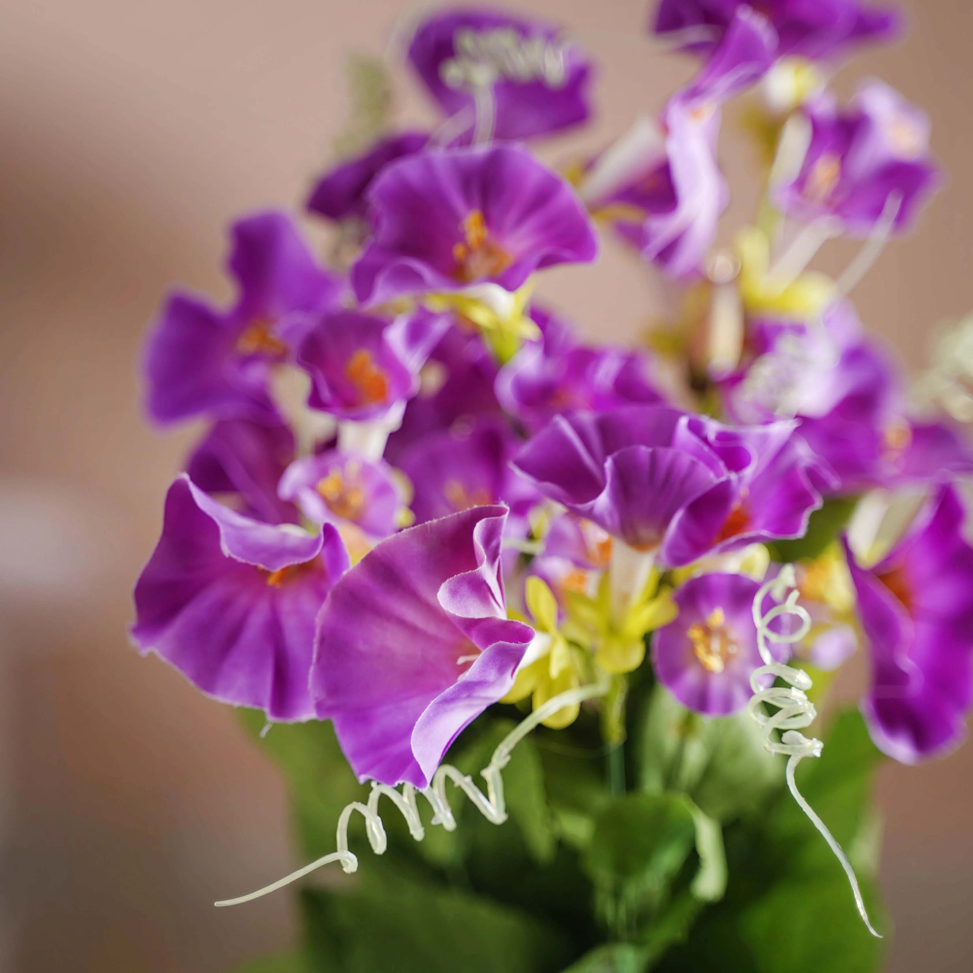 Colorful Flowers - Image 4