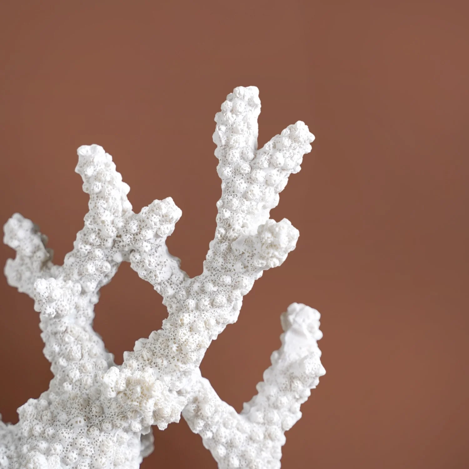 Coral Reef Coffee Table Decor - Image 7