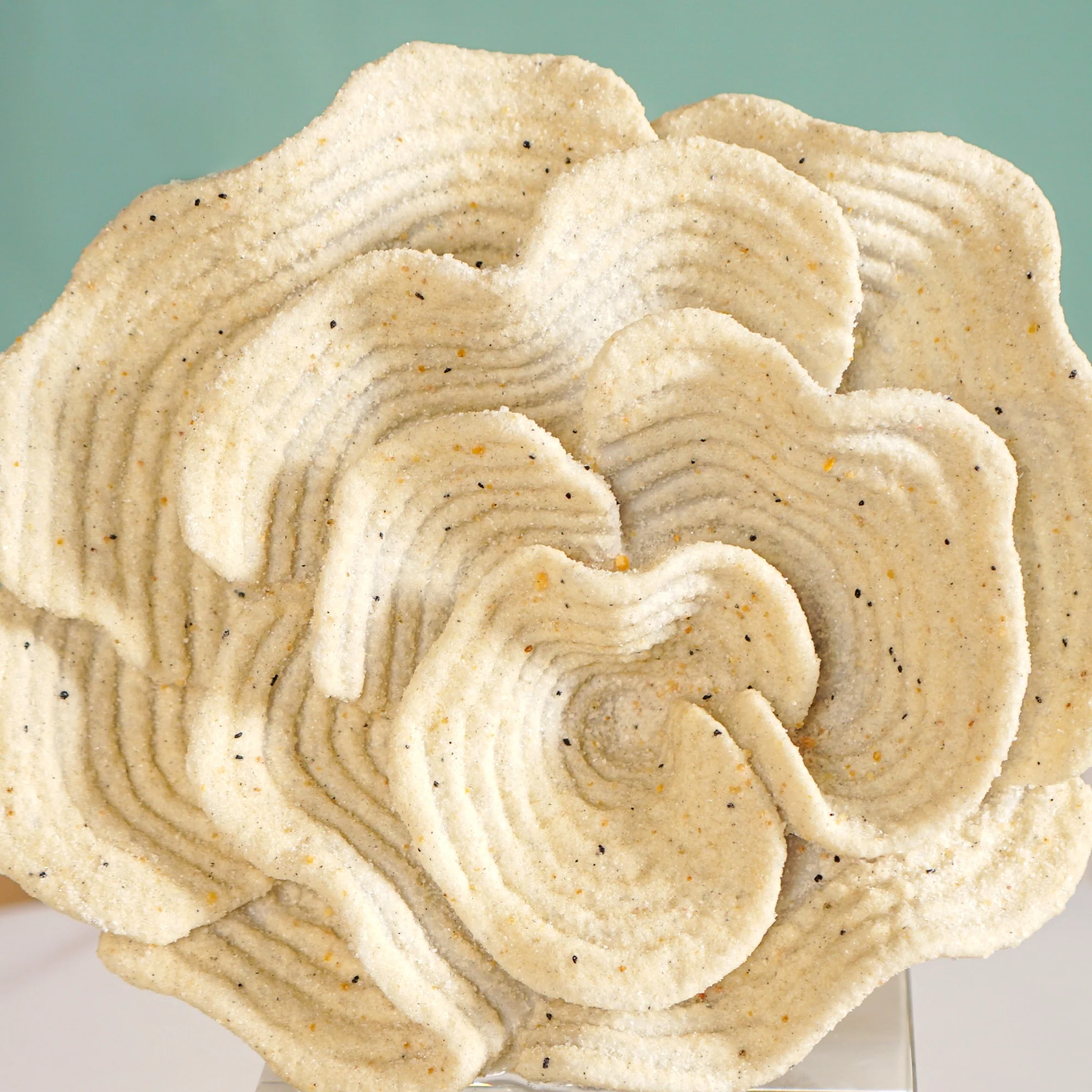 Coral Reef Decor - Image 3