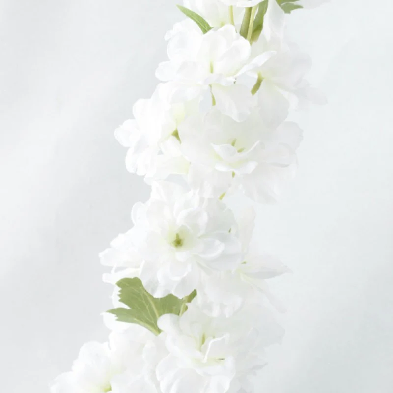 Delphinium Flower - Image 14