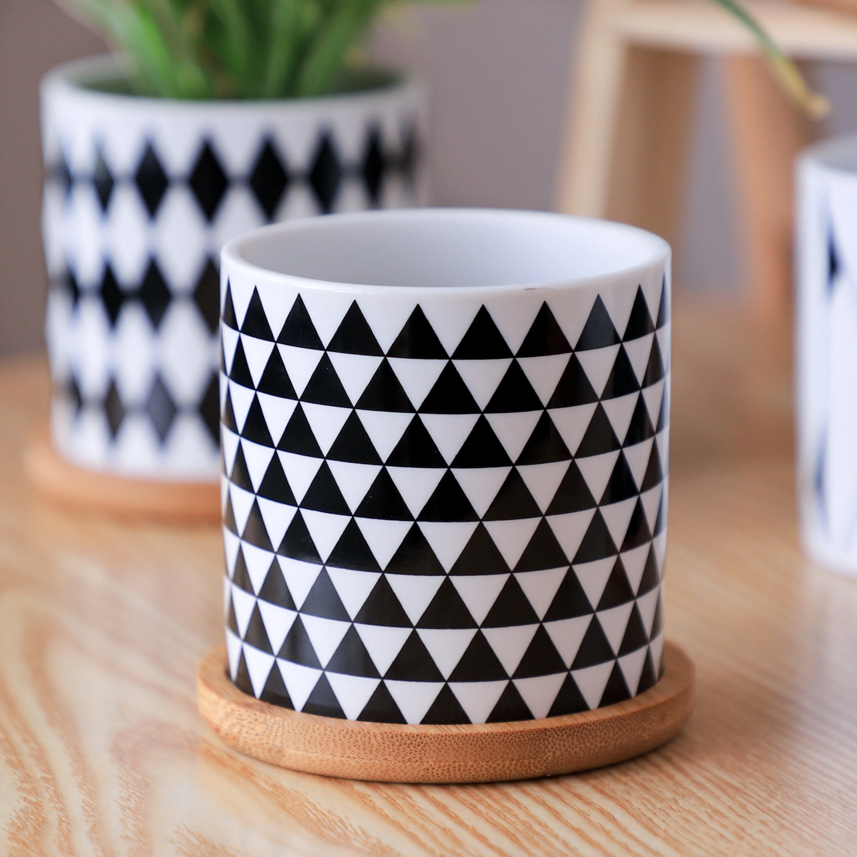 Ebony & Ivory Ceramic Planter With Coaster Set Of 8 - Image 4