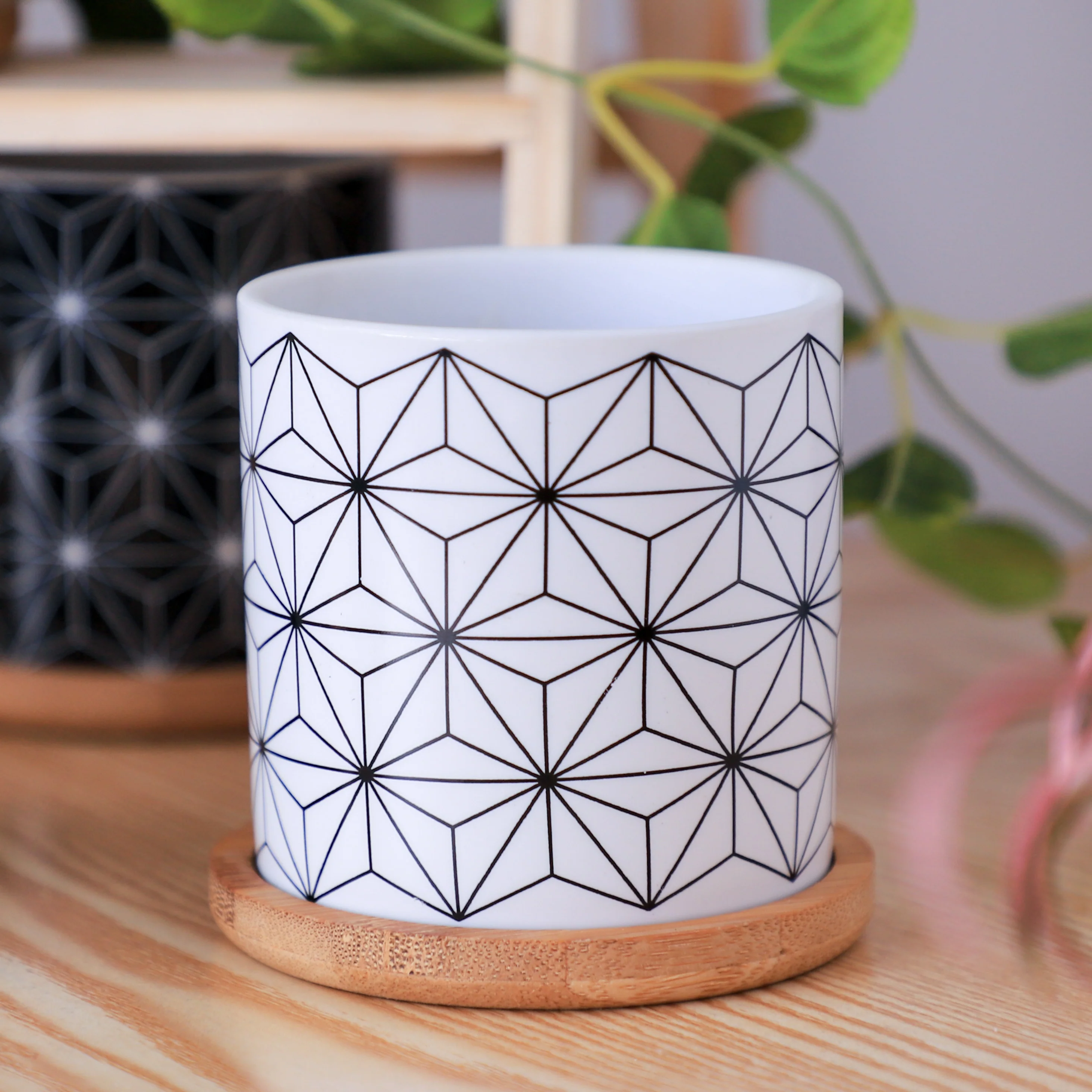 Ebony & Ivory Ceramic Planter With Coaster Set Of 8 - Image 7