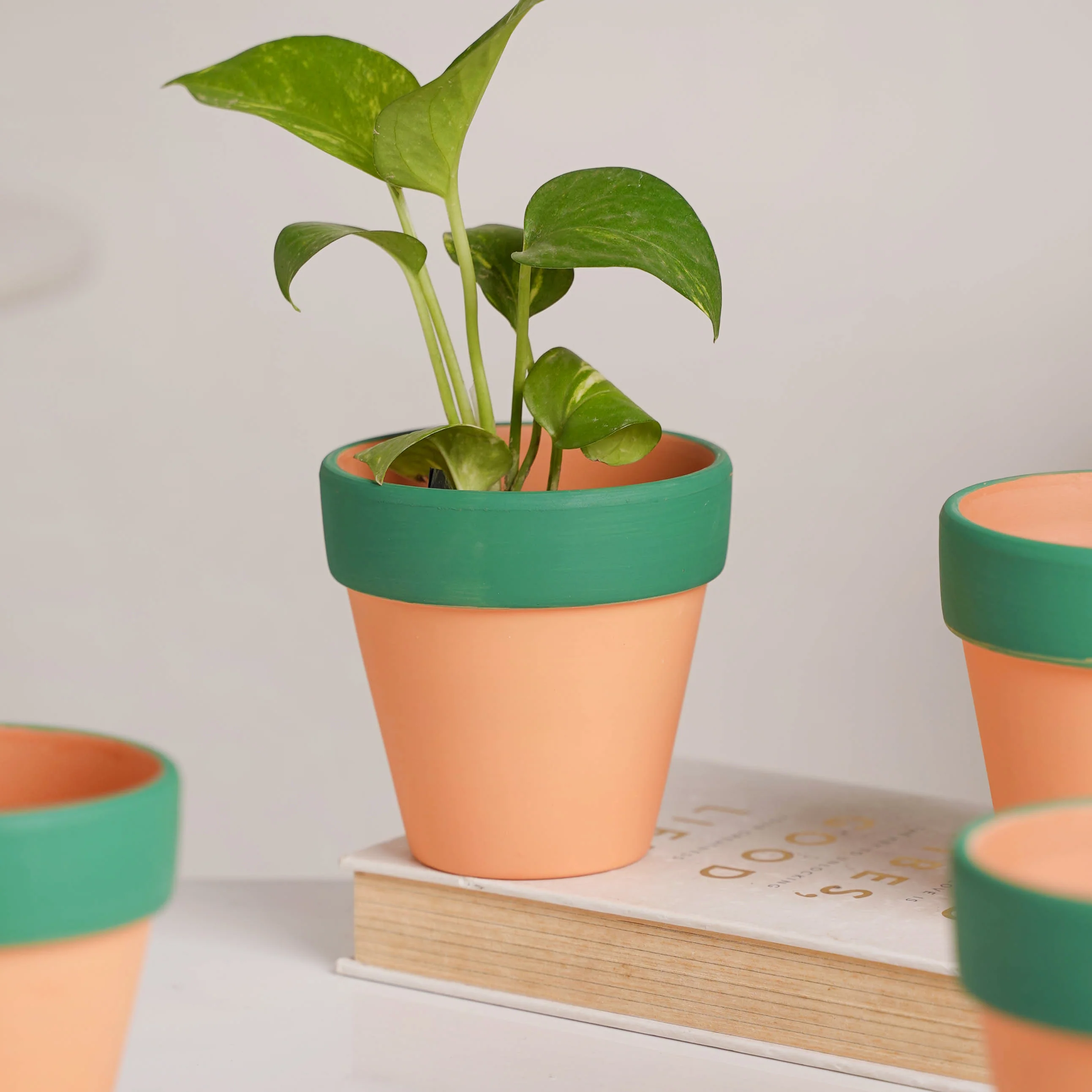Green Rim Orange Clay Pot Set Of 4 - Image 11