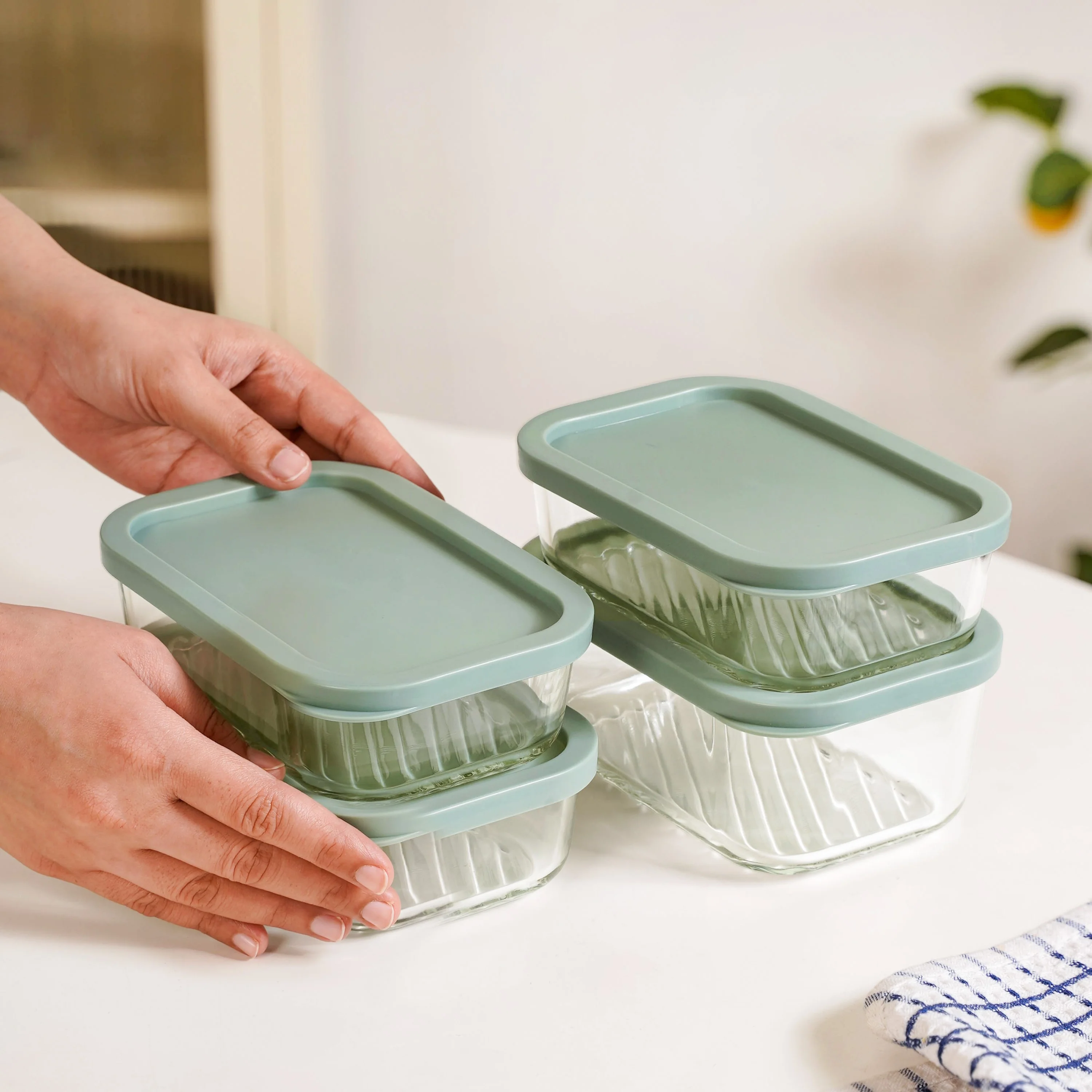 Groovo Storage Container Set Of 4 Sage Green M 520ml L 750ml - Image 3