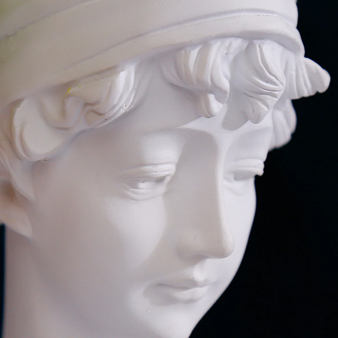 Head Planter - Image 9