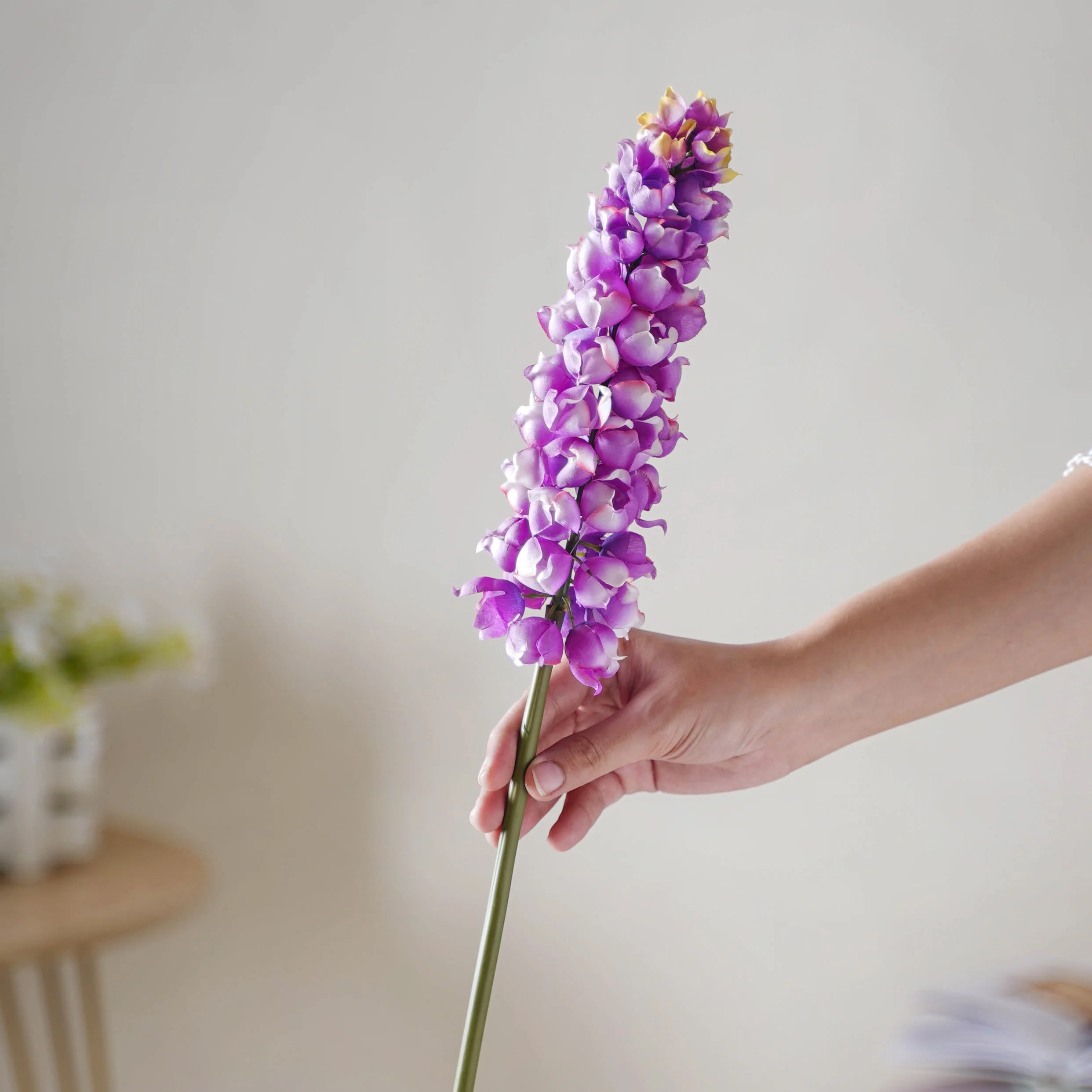 Hyacinth Stem - Image 4