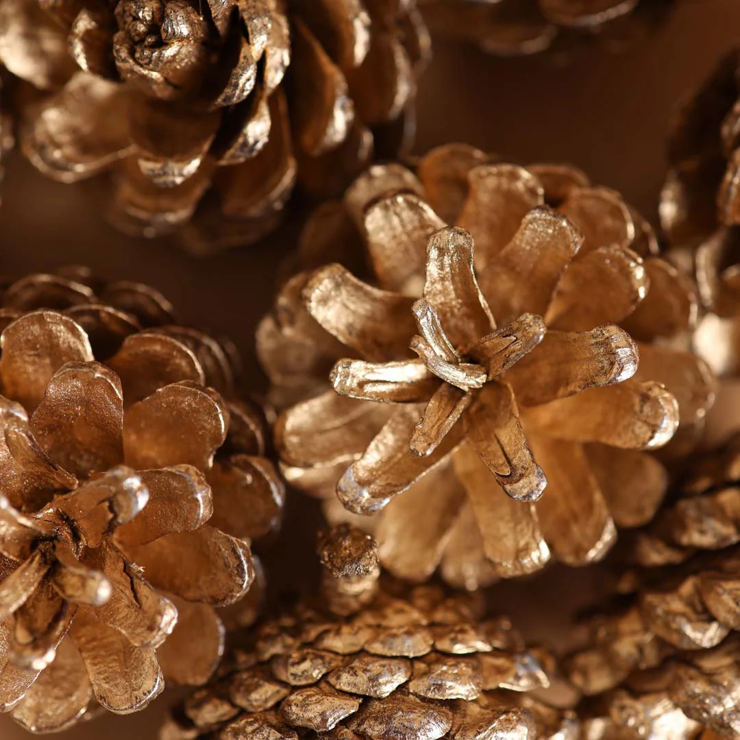 Large Pine Cones - Image 4