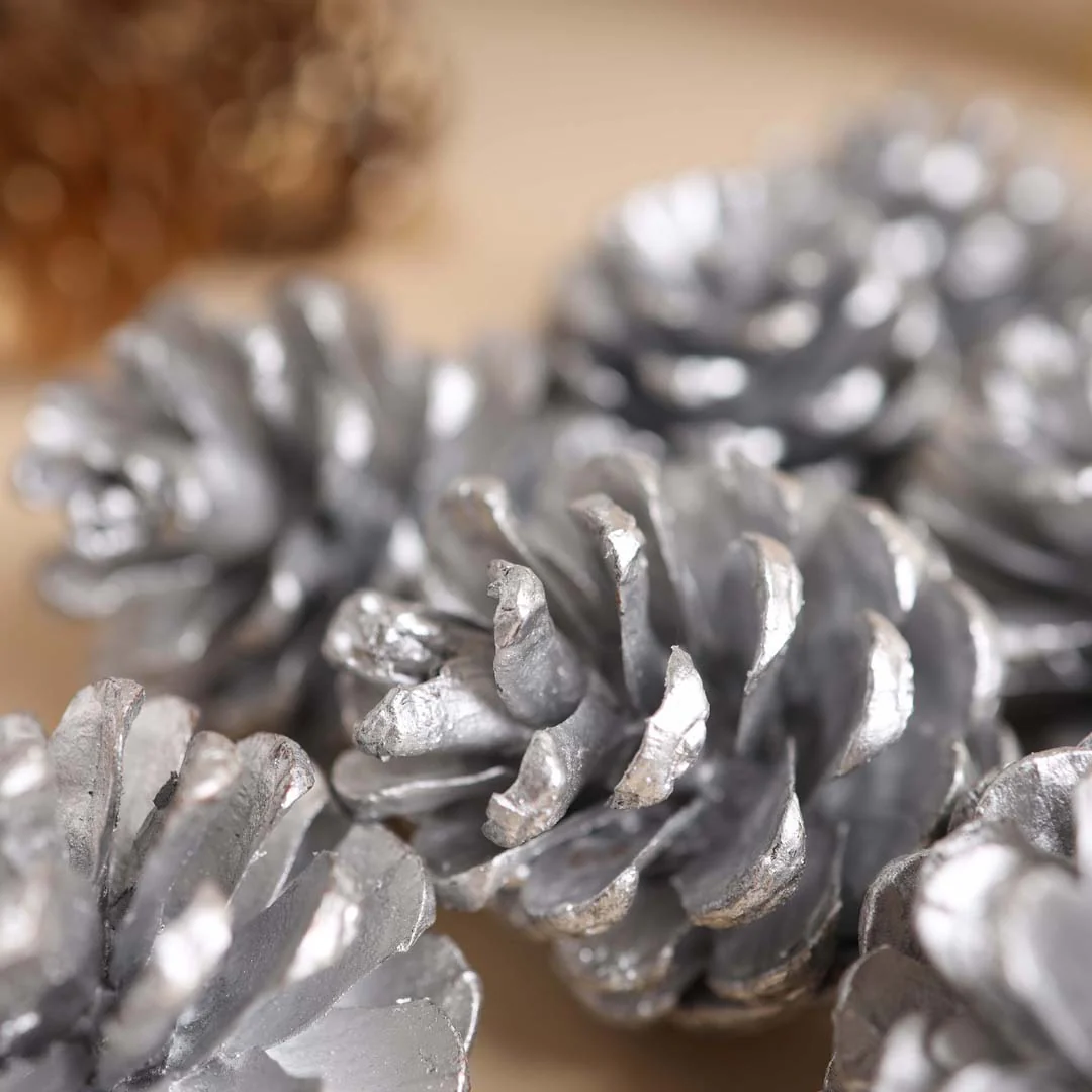 Large Pine Cones - Image 6
