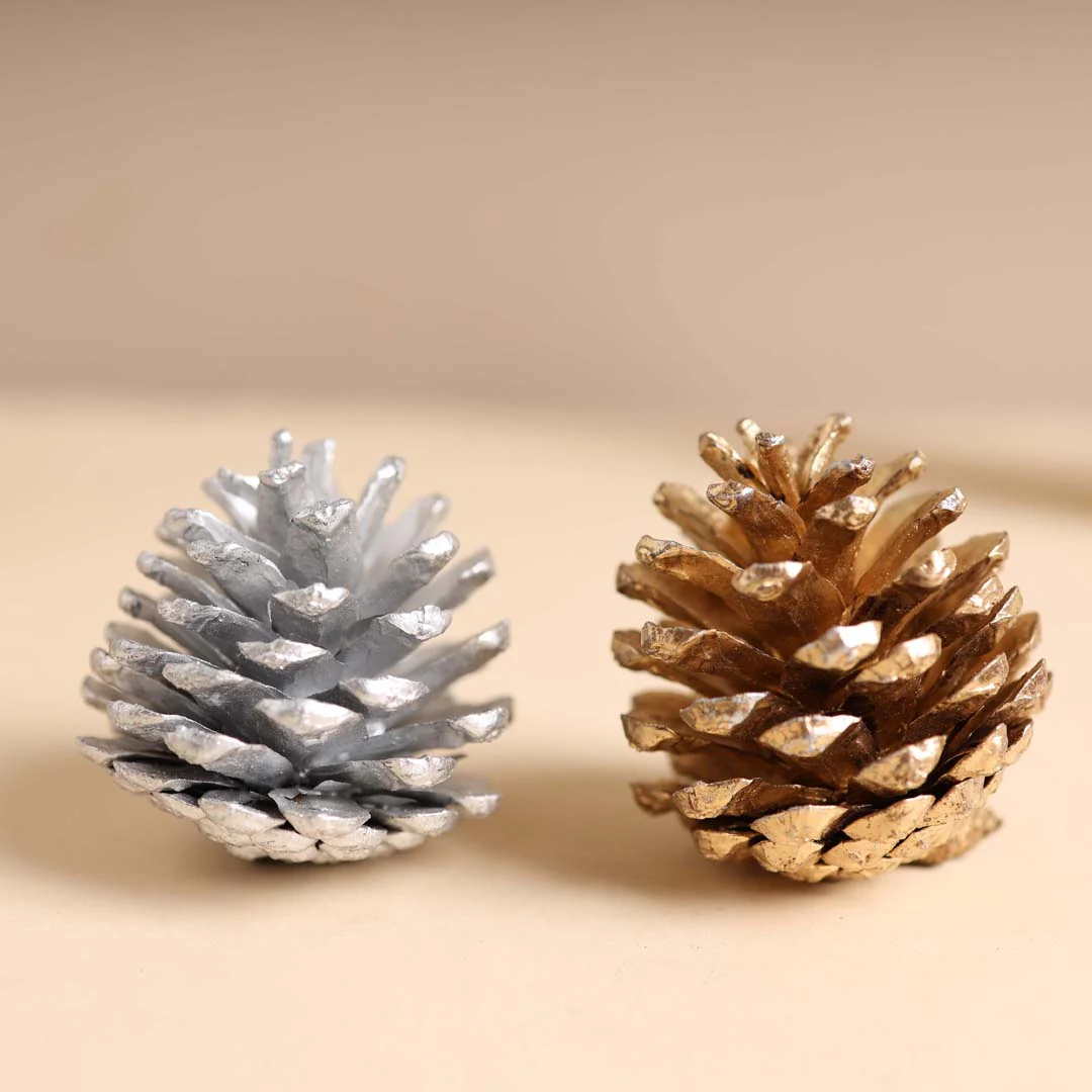 Large Pine Cones - Image 9