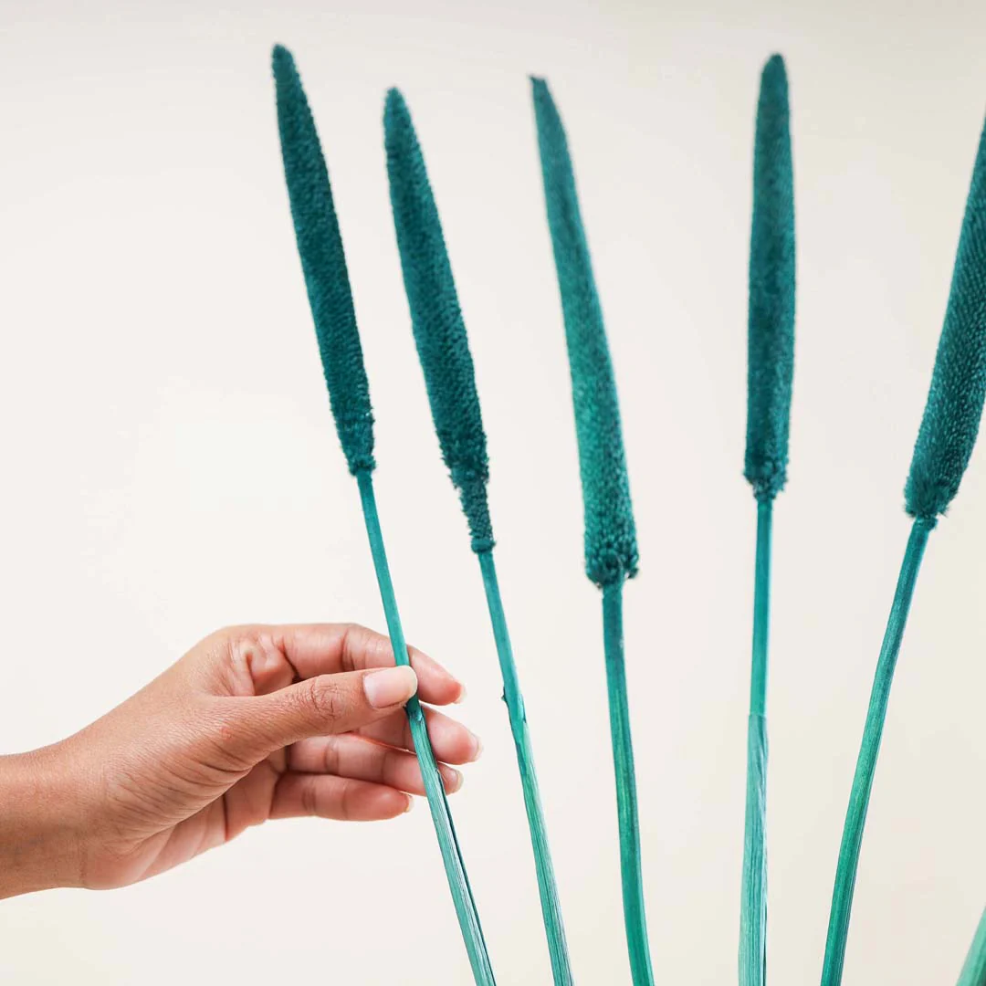 Millet Stem Green - Image 4