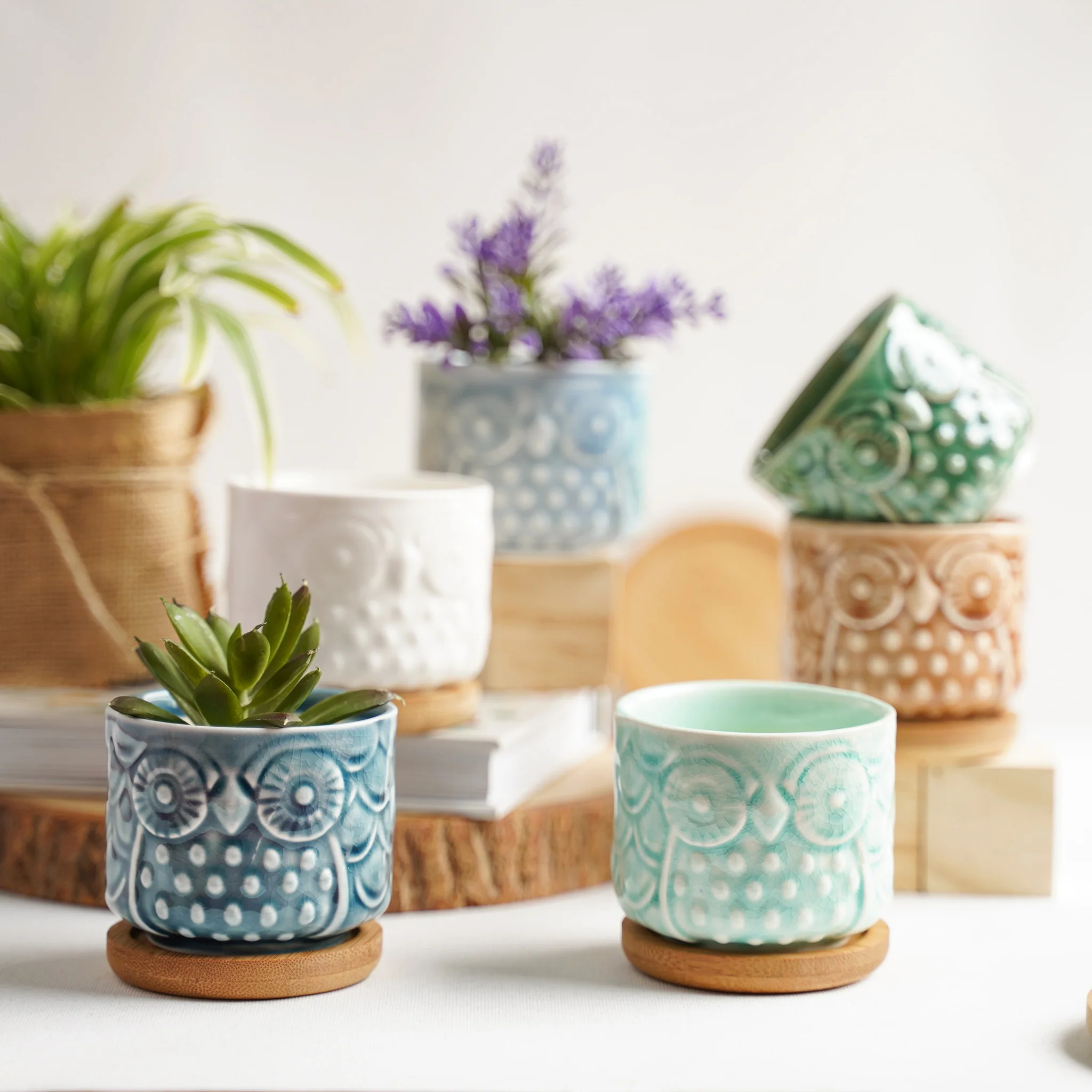 Owl Plant Pot - Image 4