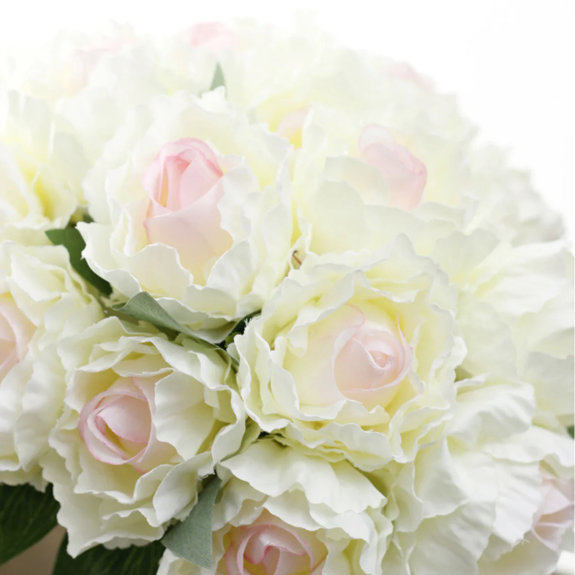 Peony Roses - Image 4