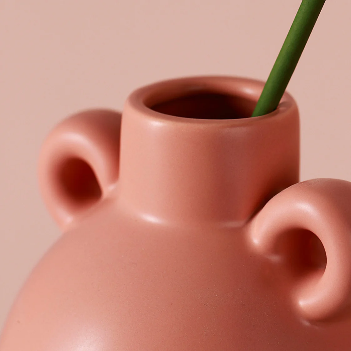 Plant Vase - Image 6