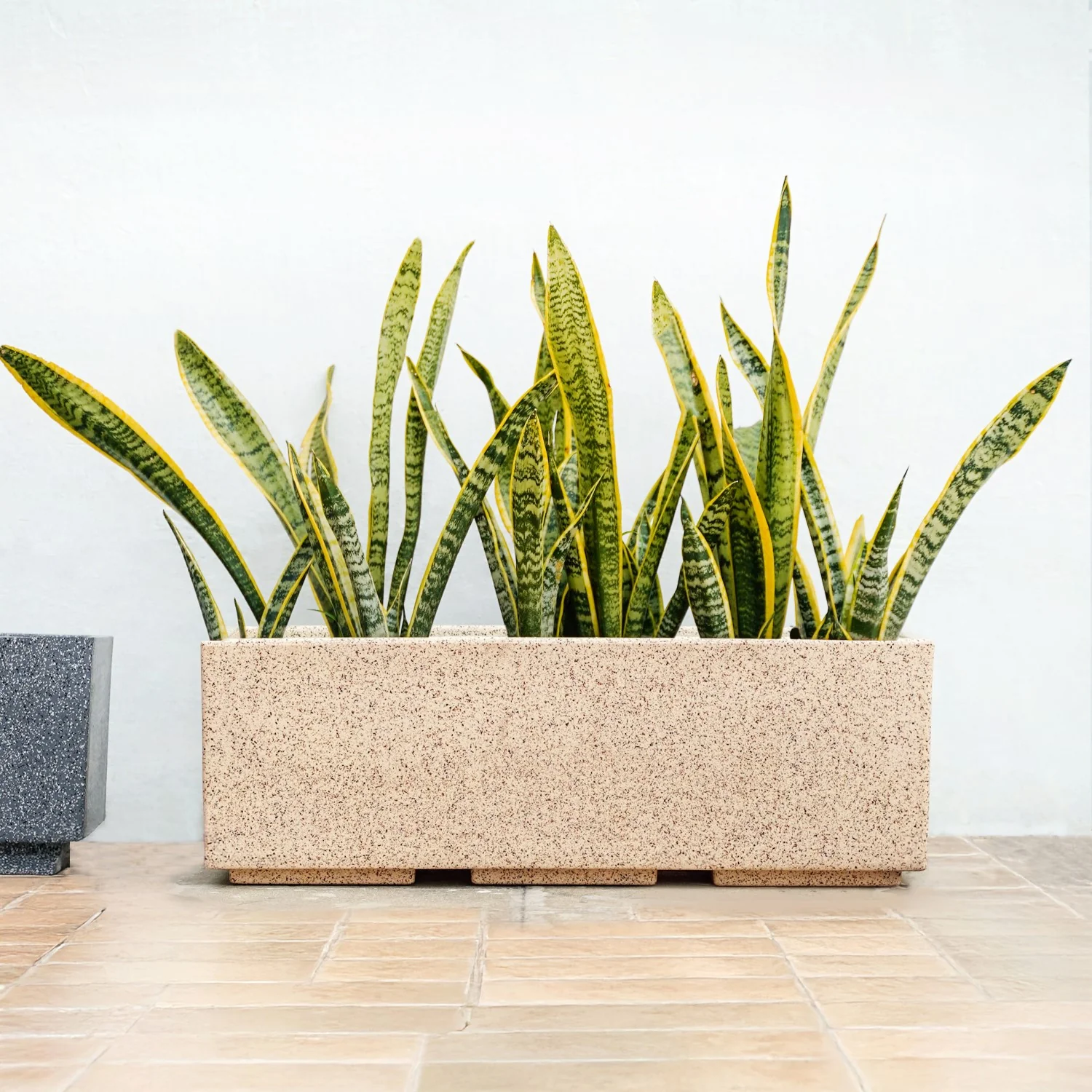 Planterra Modern Beige Trough Planters 24x8 Inch - Image 10