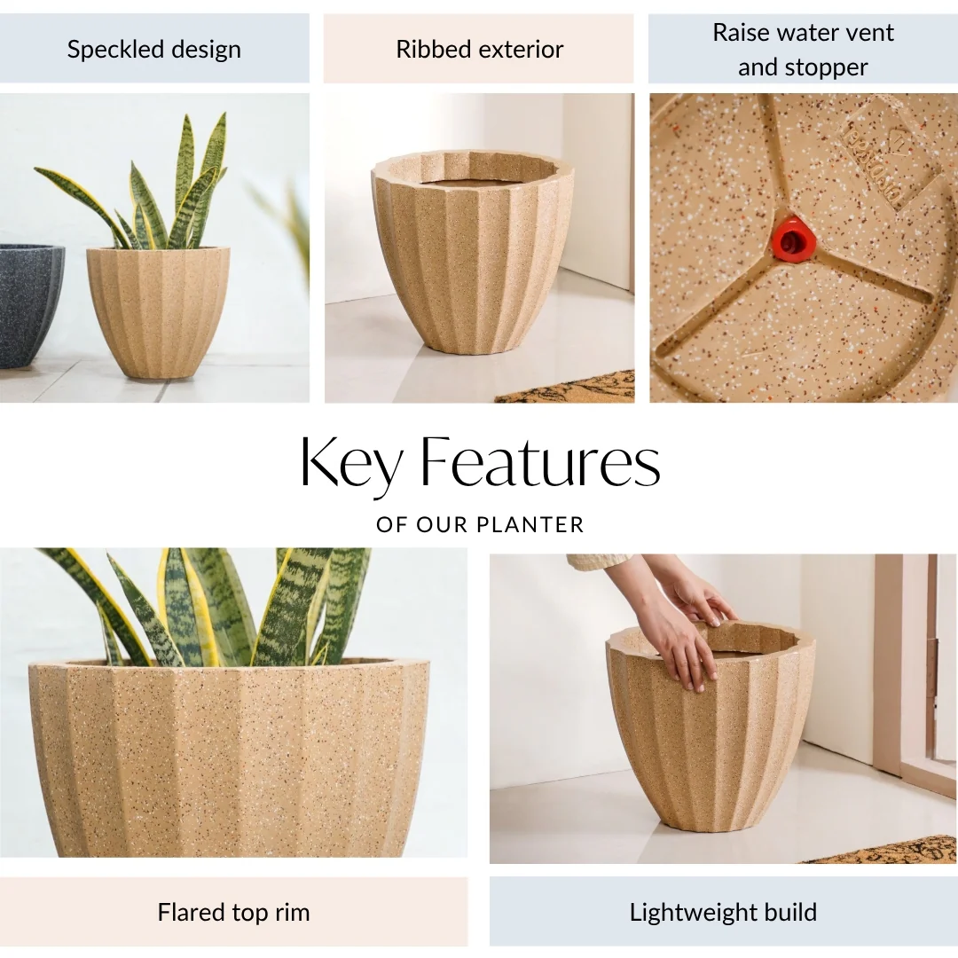 Planterra Ribbed Beige Planting Pot 12x12 Inch - Image 5