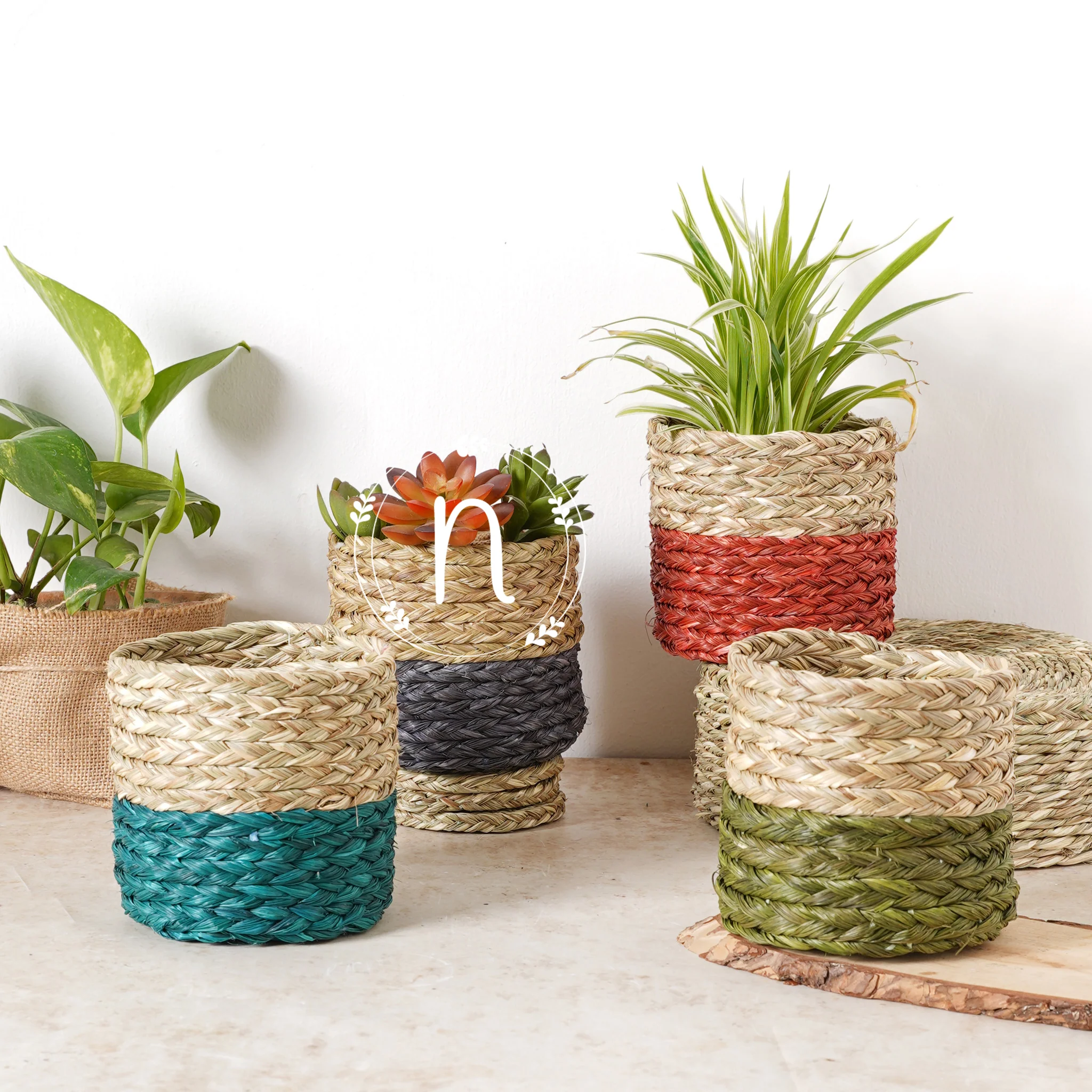 Small Planter Basket - Image 14