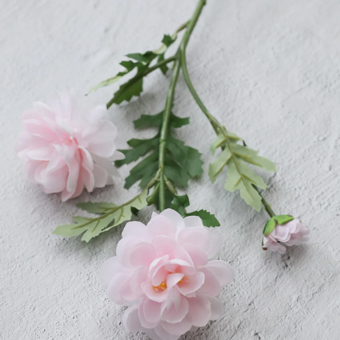 Snow Lotus - Image 18