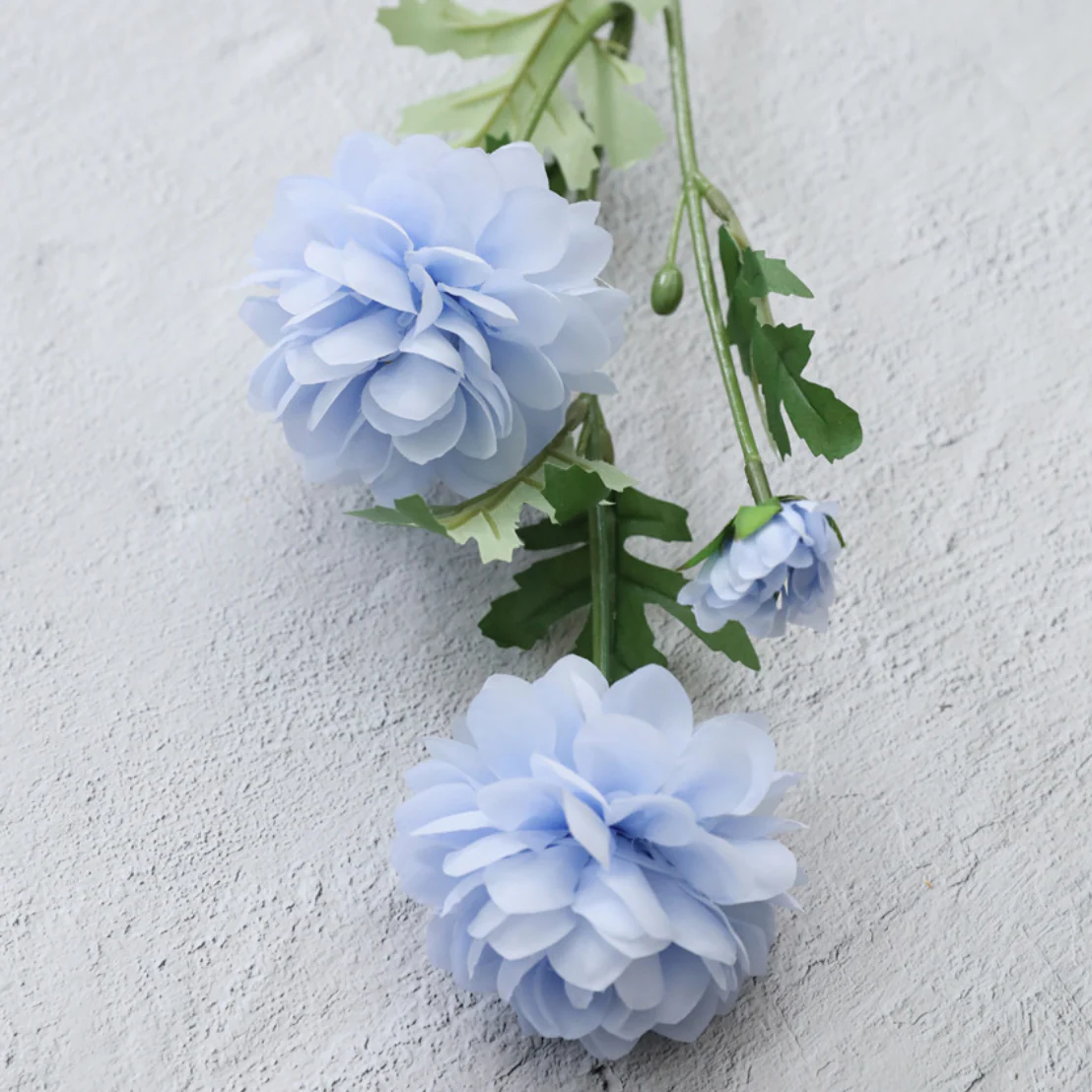 Snow Lotus - Image 19