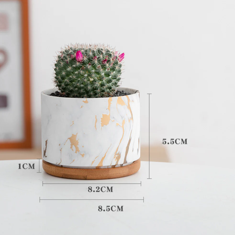 Succulent Plant Pot - Image 24