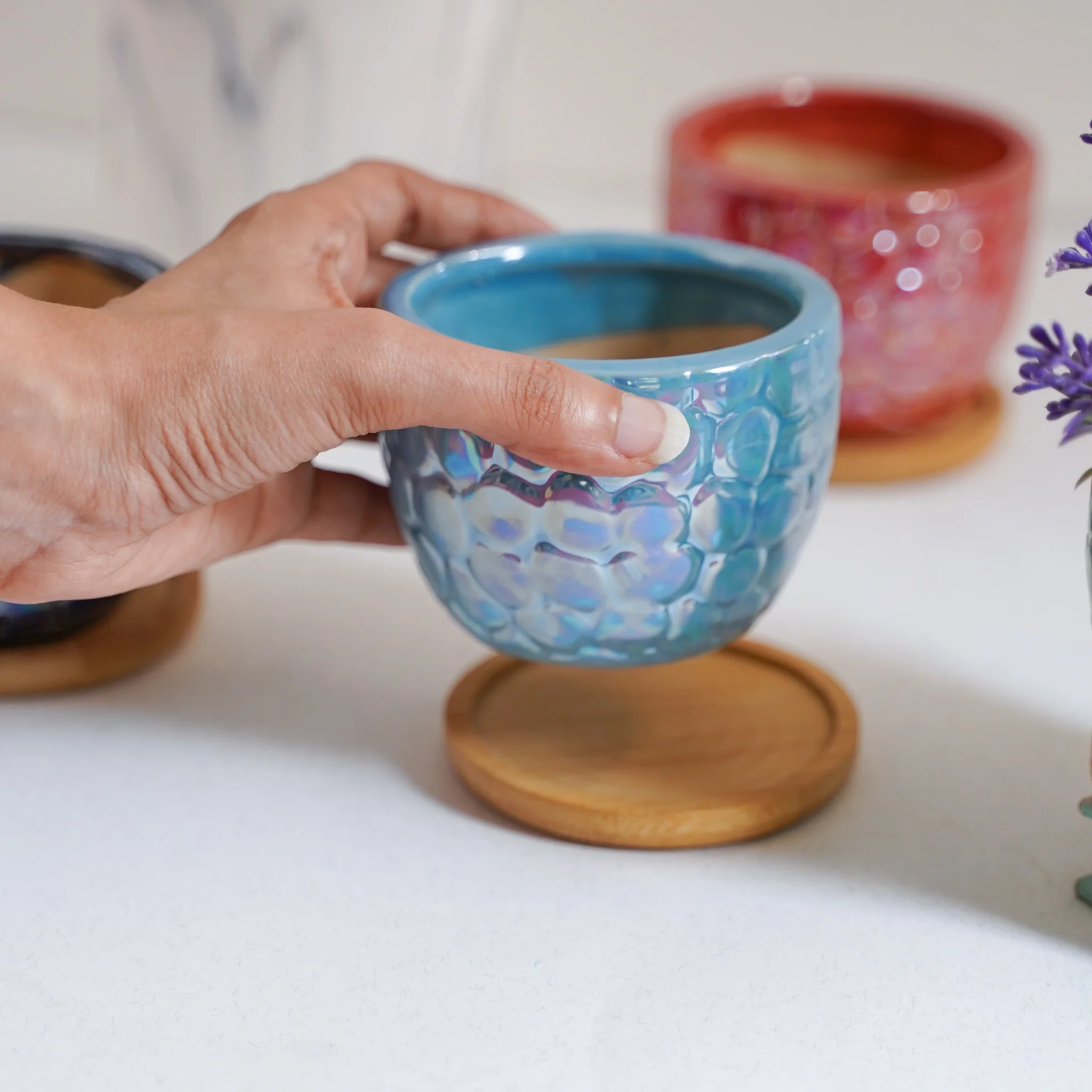Succulent Pots - Image 11