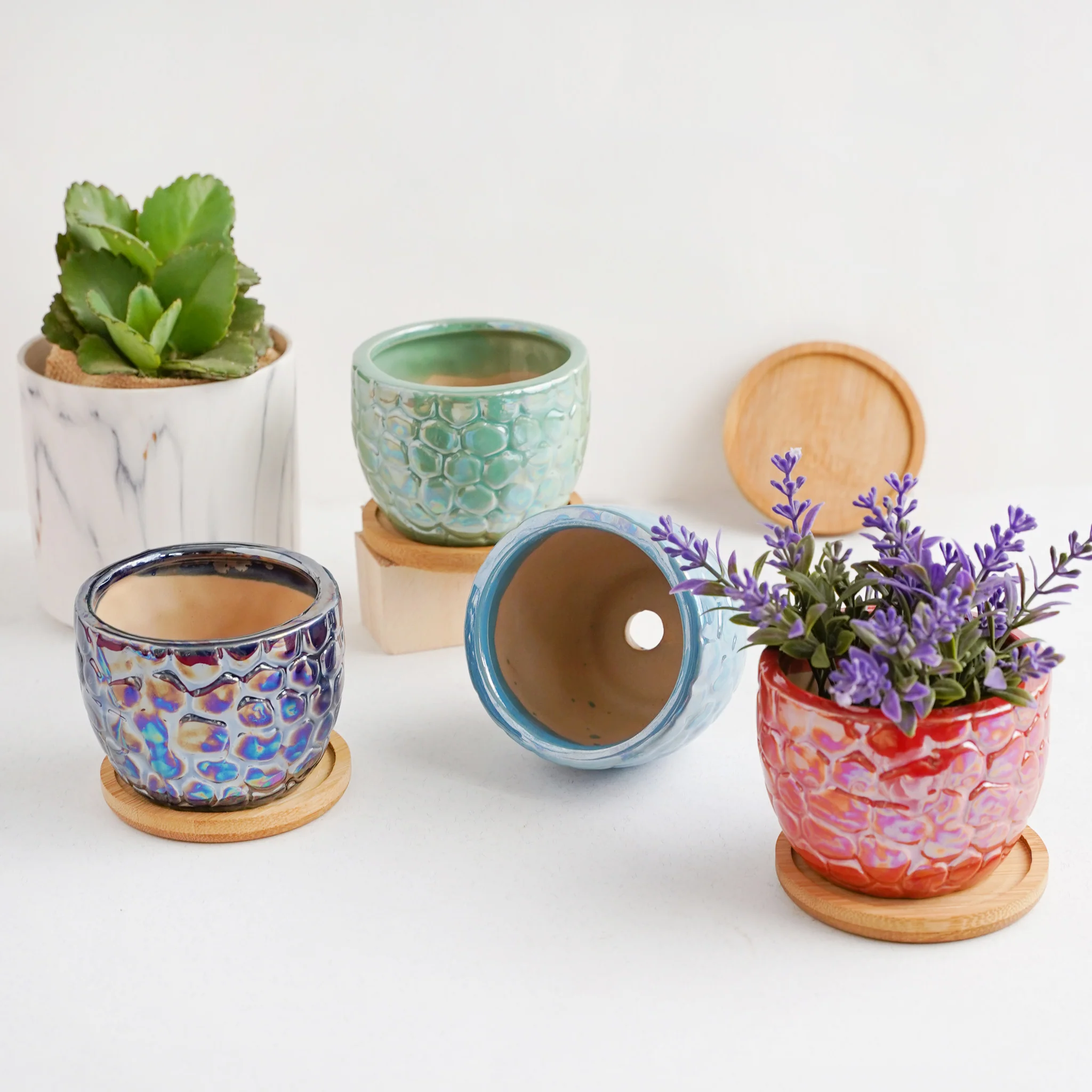 Succulent Pots - Image 3