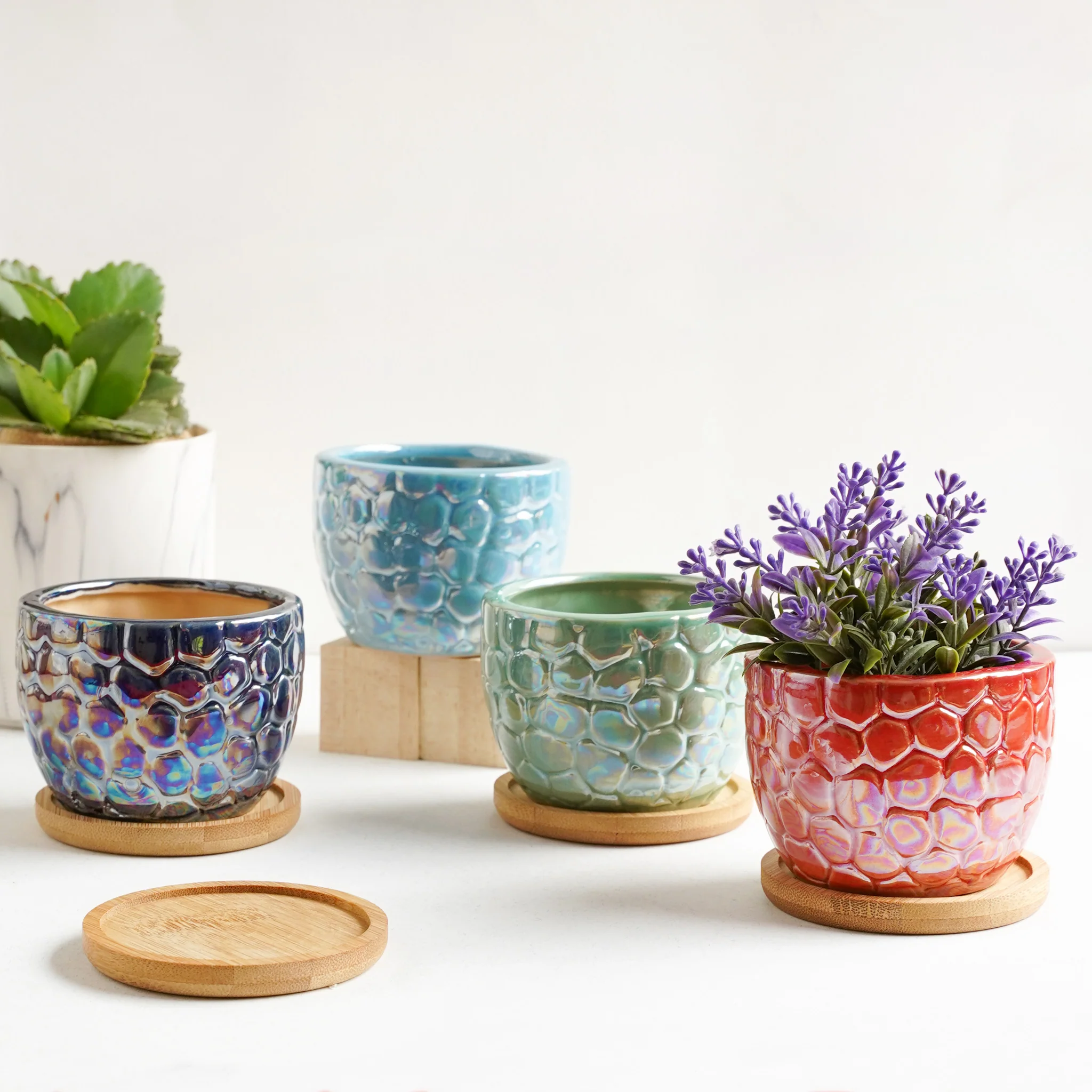 Succulent Pots - Image 6