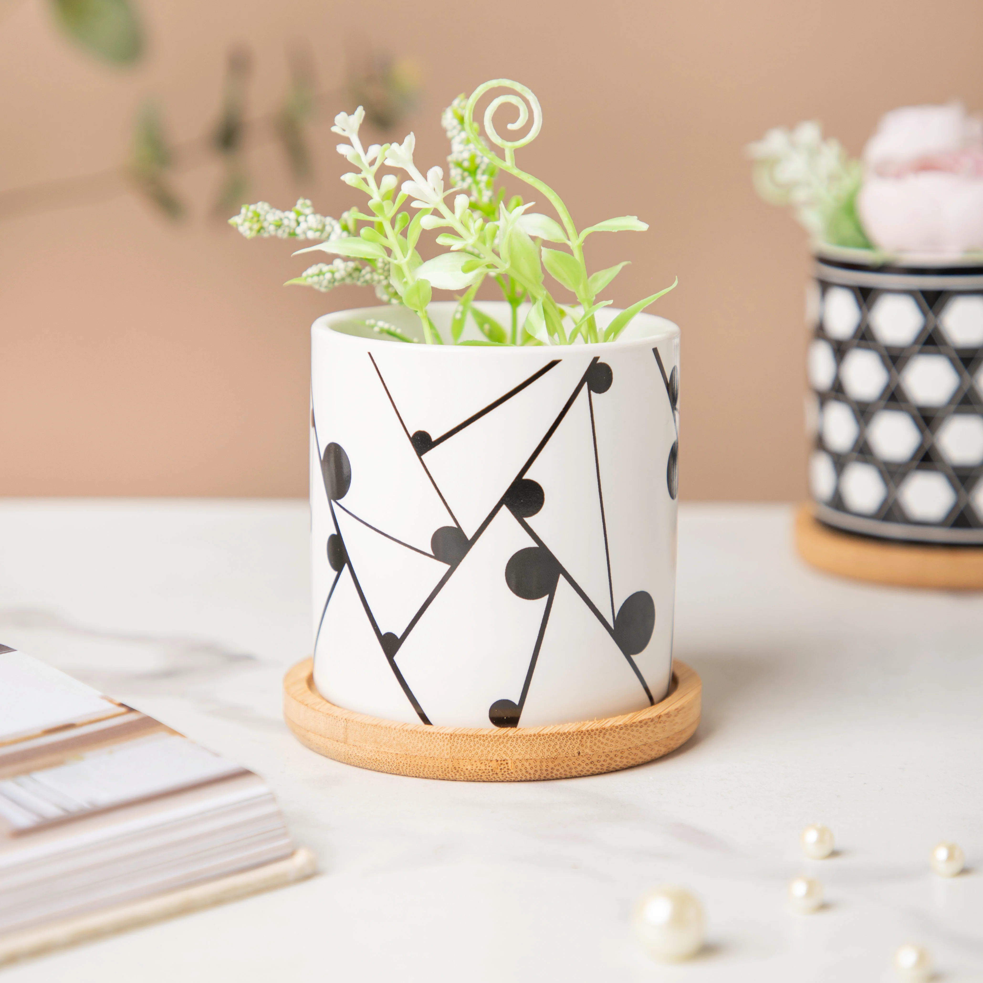 Twyla Starling Black White Planter With Wooden Coaster - Image 3