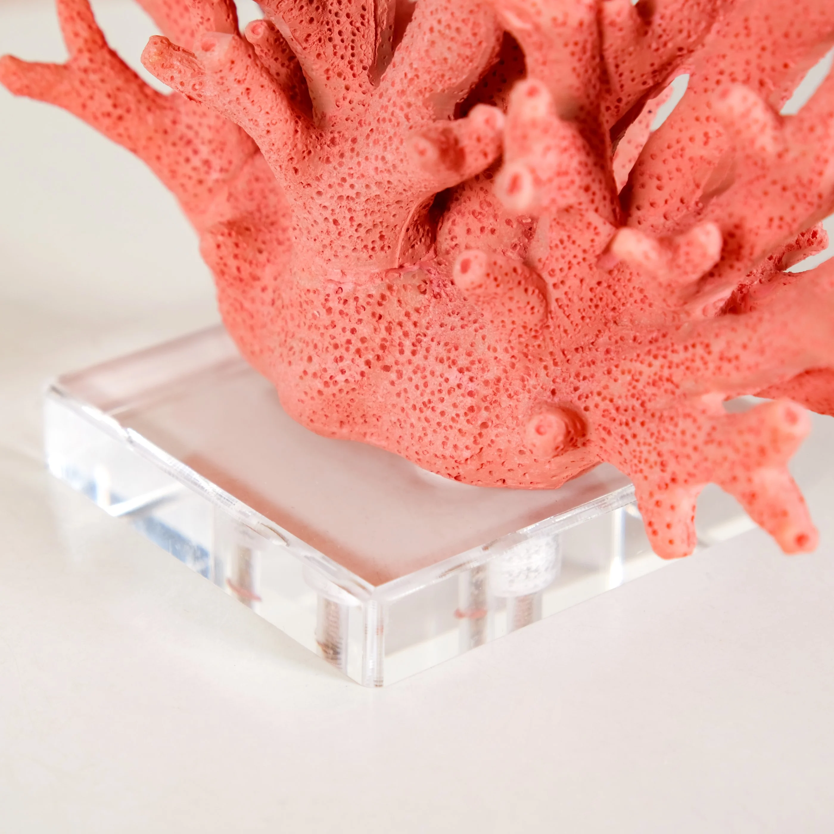 Vibrant Coral Coffee Table Decor - Image 8
