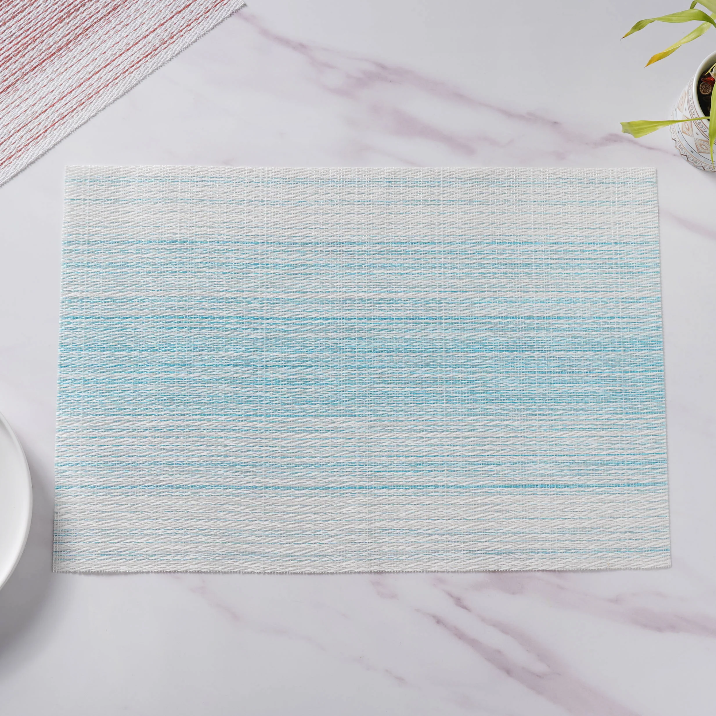 Vinyl Placemat Set - Image 10