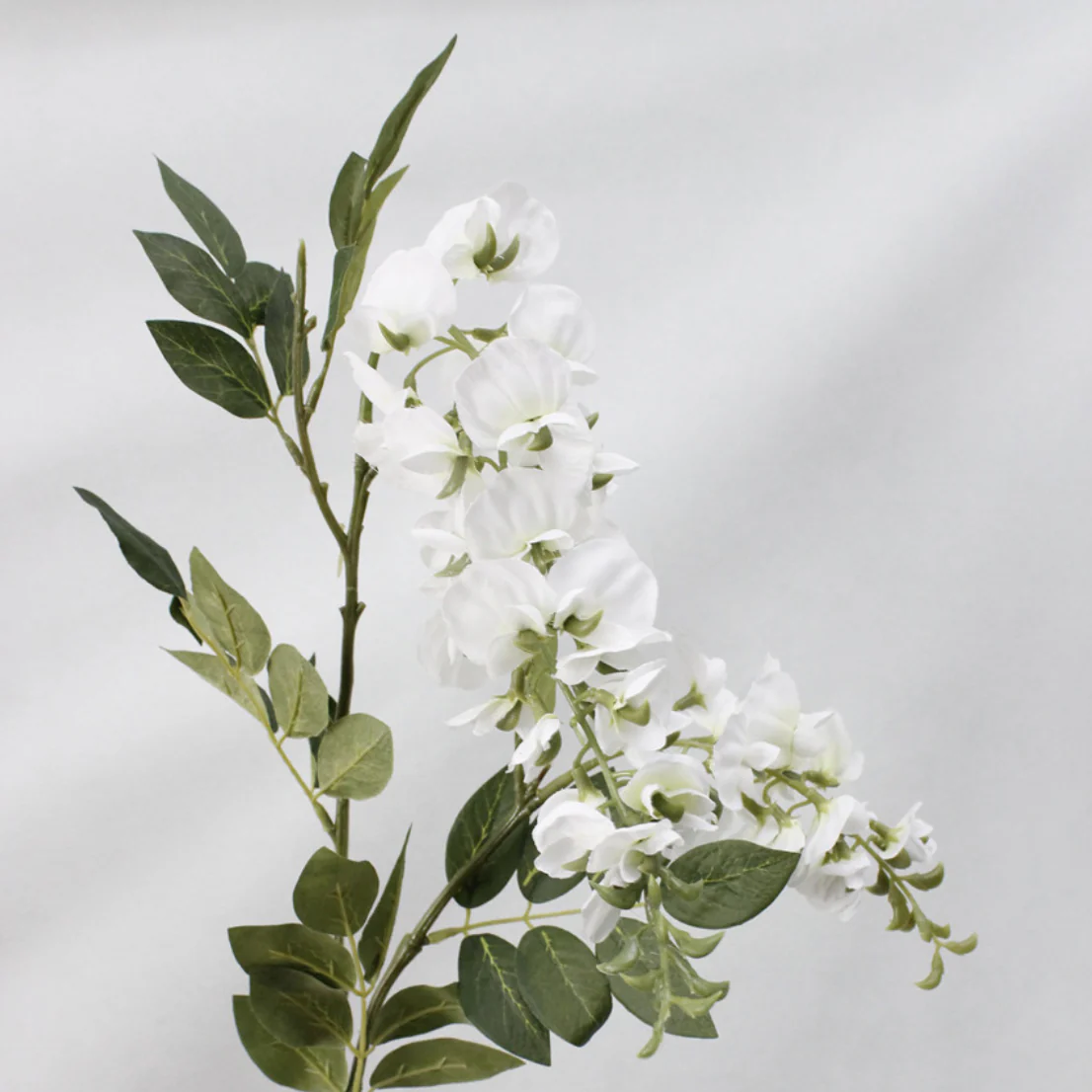 Wisteria Flower - Image 7